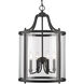 Payton Pendant Ceiling Light in Matte Black, Caged