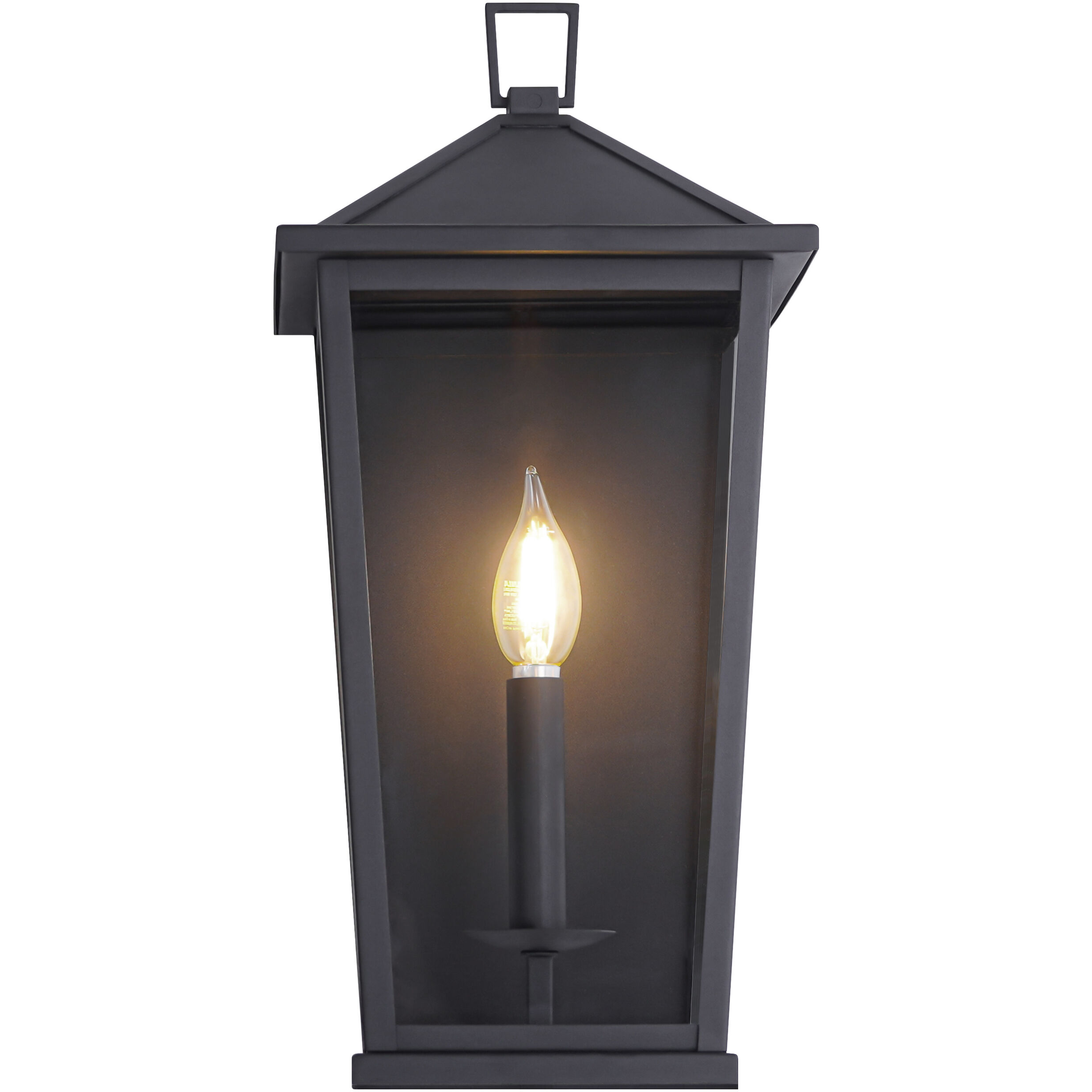 Ingress 1 Light 16.5 inch Matte Black Outdoor Wall Light