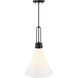 Evergreen Oasis LED 12 inch Matte Black Down Pendant Ceiling Light