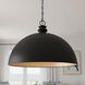 Braylon Pendant Ceiling Light