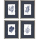 Naturals Blue and White Framed Art