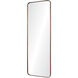 Phiale 53 X 19.75 inch Bronze Wall Mirror