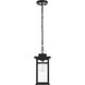 Mercer 1 Light 6.5 inch Black Outdoor Pendant