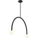 Contemporary LED 4 inch Matte Black Chandelier Ceiling Light