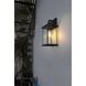 Saul 1 Light 16 inch Black Outdoor Wall Sconce