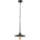 Clayton 1 Light 12 inch Dark Coffee Pendant Ceiling Light