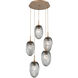Meteo LED LED Novel Brass Chandelier Ceiling Light, Round Multi-Pendant