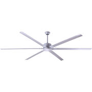 Indoor Ceiling Fans