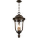 Havenwood 3 Light 9.5 inch Tavira Bronze And Alder Silver Outdoor Hanging Light, The Great Outdoors