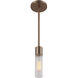 Fusion Collection - Rimini Family 1 Light 2 inch Brushed Brass and Clear Ribbed Pendant Ceiling Light, EVOLV