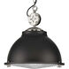 Medal 1 Light 17.38 inch Graphite Pendant Ceiling Light