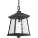 Idina 1 Light 8.5 inch Textured Black Outdoor Hanging Lantern