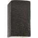 Ambiance Collection LED 13.5 inch Hammered Iron Outdoor Wall Sconce