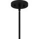 Fortress 1 Light 9.25 inch Earth Black Mini Pendant Ceiling Light