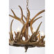 Canada Antler Pendant Ceiling Light