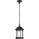 Hopkins 7 inch Matte Black Outdoor Hanging Lantern