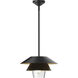 Alora Mood Tetsu Pendant Ceiling Light in Matte Black