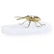 Brass Beetle 12.25 X 4 inch Sculpture