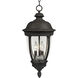 Knob Hill DC 3 Light 13 inch Sienna Outdoor Hanging Lantern