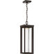 Shore Pointe LED Oil Rubbed Bronze Outdoor Chain Hung, The Great Outdoors