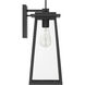 Ivory Dusk 1 Light 18 inch Matte Black Outdoor Wall Light, Large