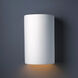 Ambiance Cylinder LED 12.5 inch Bisque Outdoor Wall Sconce, Large