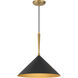 Cortan 1 Light 16 inch Legacy Brass and Dark Bronze Pendant Ceiling Light