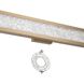 Courtney LED 31.75 inch Champagne Gold Vanity Light Wall Light