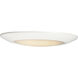 Diverse LED 11 inch White Flush Mount Ceiling Light
