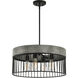 Aster 4 Light 24 inch Matte Black Pendant Ceiling Light
