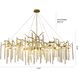 CC Series 16 Light 63 inch Brass Chandelier Ceiling Light