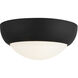 Alora Mood Rubio 2 Light 12.25 inch Matte Black/Opal Matte Glass Flush Mount Ceiling Light
