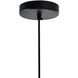 Glass 4 Light 16 inch Black Down Pendant Ceiling Light in Clear