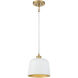 Vintage 1 Light 9 inch White and Natural Brass Pendant Ceiling Light in White with Natural Brass