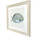 Coastal Bliss Green and Blue Framed Art, Propac