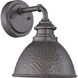 Englewood 1 Light 10 inch Antique Pewter Outdoor Wall Lantern, Small