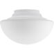 myFanimation Opal Frosted Fan Light
