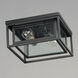 Cabana 2 Light 12 inch Black Outdoor Flush Mount