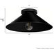 Skyflow 1 Light 14 inch Matte Black Outdoor Flush Mount, Medium