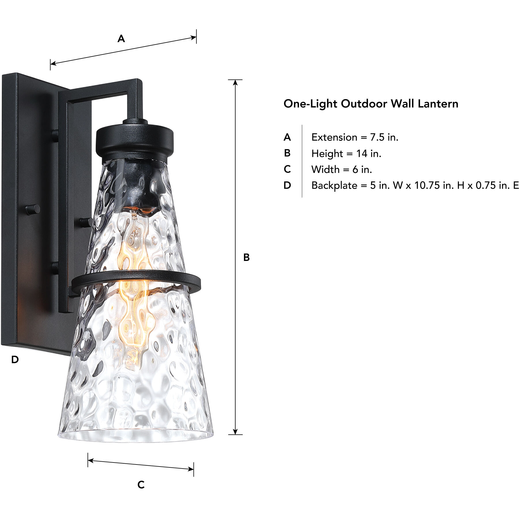 Field Daisy Lane 1 Light 14 inch Black Outdoor Wall Sconce