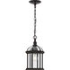 Dillard 1 Light 7.5 inch Antique Bronze Outdoor Hanging Lantern