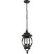 Central Park 3 Light 7 inch Textured Black Outdoor Hanging Lantern
