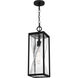 Zarah 1 Light 7 inch Matte Black Outdoor Hanging Lantern, Large