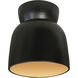 Radiance Collection 1 Light 7.5 inch Carbon Matte Black with Champagne Gold Outdoor Flush Mount