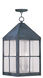 Livex Lighting Brighton 4 Light Outdoor Hanging Lantern in Hammered Charcoal 2687-61