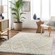 Manisa 90 X 60 inch Seafoam Rug, Rectangle