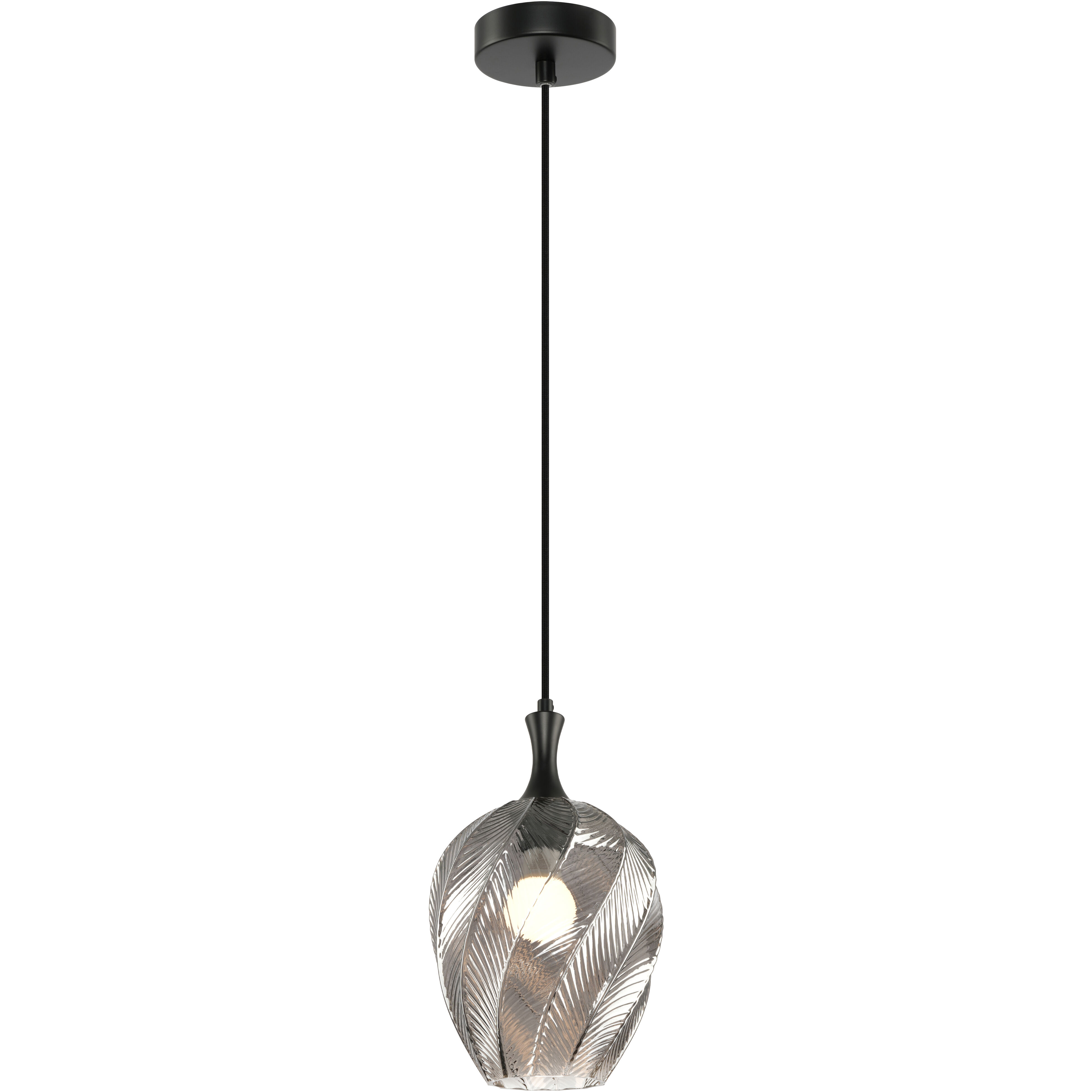Eesha 1 Light 7.88 inch Matte Black and Smoked Pendant Ceiling Light