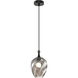Eesha 1 Light 7.88 inch Matte Black and Smoked Pendant Ceiling Light