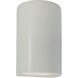 Ambiance LED 5.75 inch Matte White Wall Sconce Wall Light
