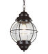 Catalina 1 Light 9 inch Black Outdoor Hanging Lantern
